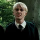 D Malfoy 