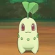 Chikorita