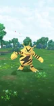 Wild Electabuzz