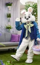 The Easter Bunny