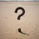 Questioning question