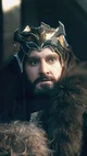 THORIN OAKENSHIELD