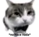 No Hace Nada