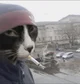 Lil jimbob