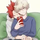 Kirishima nd Bakugo
