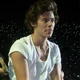 harry styles - 2013