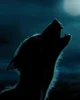Remus J lupin