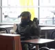 Master Chief