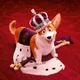The Queens Corgi RPG