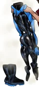 Nightwing TF