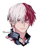 BNHA Todoroki Shoto