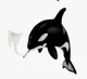 A Smoking Orca