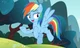 Rainbow Dash 