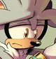 Silver the Hedgehog