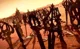 The keyblade grave