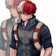 Pro hero Todoroki