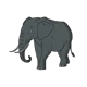 Nethan The Elephant