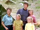 The Brady Bunch 