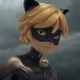 Chat Noir