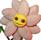 Daisy the Flower 