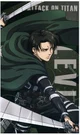 Levi ackerman