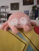 spider pink