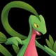 Grovyle -PMD-