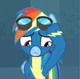 Rainbow Dash