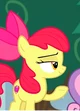 Apple Bloom