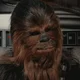 Chewie
