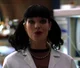Abby Sciuto