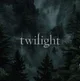 Twilight saga