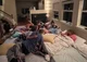 1- PJO Sleepover