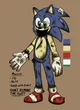 Costume Sonic 