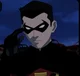 Young justice