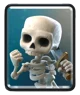 Skeleton CR and COC