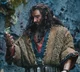 Thorin Oakensheild 