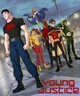 Young justice 