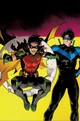Nightwing and Tim 