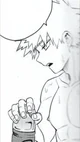 Katsuki bakugo 