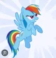 Rainbow Dash 