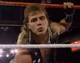 Shawn Michaels 
