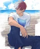 Shoto Todoroki 