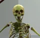 mayor mcbones