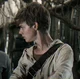 Newt - Maze Runner