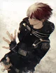 Todoroki Shoto
