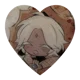 Pure Vanilla Cookie