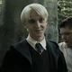 Draco M
