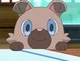 rockruff