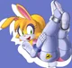 Bunnie Rabbot